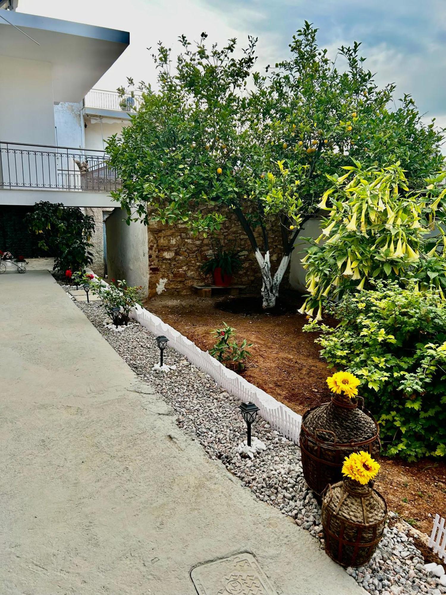 Flower House In Koropi-Near Airport Ngoại thất bức ảnh